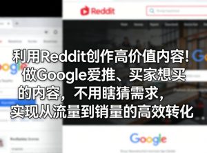 利用Reddit创作高价值内容！做Google爱推、买家想买的内容，不用瞎猜需求，实现从流量到销量的高效转化-金鼎聊项目