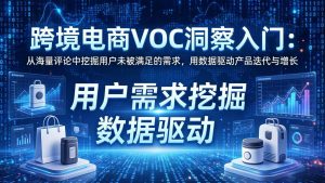 跨境电商VOC洞察入门：从海量评论中挖掘用户未被满足的需求，用数据驱动产品迭代与增长-金鼎聊项目
