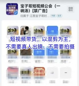 宝子哥头部团队短视频带货，以混剪为主，不需要真人出镜，不需要拍摄【更新26年3月】-金鼎聊项目