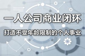 一人公司商业闭环，打造一份不受年龄限制的个人事业-金鼎聊项目