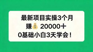 最新项目实操3个月，赚钱20000+，0基础小白3天学会！-金鼎聊项目