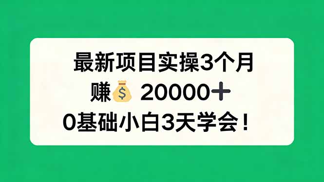 最新项目实操3个月，赚钱20000+，0基础小白3天学会！-金鼎聊项目
