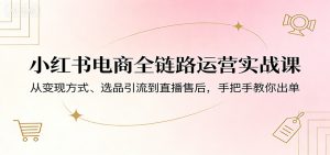 小红书电商全链路运营实战课：从变现方式、选品引流到直播售后，手把手教你出单-金鼎聊项目