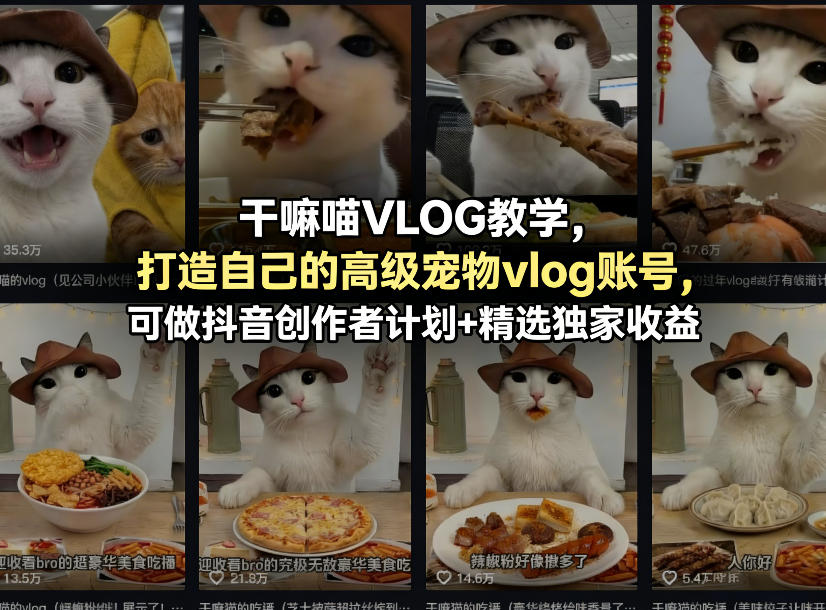 干嘛喵VLOG教学，打造自己的高级宠物vlog账号，可做抖音创作者计划+精选独家收益-金鼎聊项目