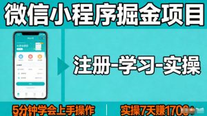 微信小程序掘金项目，项目很简单，5分钟就能学会上手操作，实操7天賺了1700+【揭秘】-金鼎聊项目