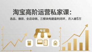 淘宝高阶运营私家课(更新26年4月-金鼎聊项目