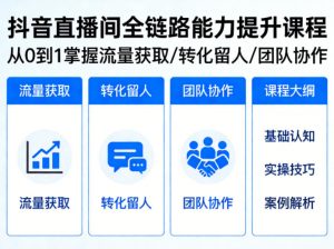 抖音直播间浓缩版视频课程，从0到1掌握直播间流量获取、转化留人、团队协作的全链路能力-金鼎聊项目