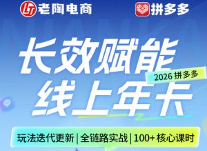 拼多多线上SVIP线上年卡，从认知到基础、从推广到活动、从活动到玩法，全链路实战(26年4月6日更新)-金鼎聊项目