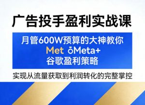 广告投手盈利实战课，月管600W预算的大神教你Meta+谷歌盈利策略，实现从流量获取到利润转化的完整掌控-金鼎聊项目