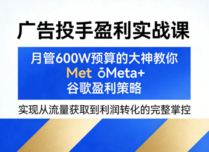 广告投手盈利实战课，月管600W预算的大神教你Meta+谷歌盈利策略，实现从流量获取到利润转化的完整掌控-金鼎聊项目