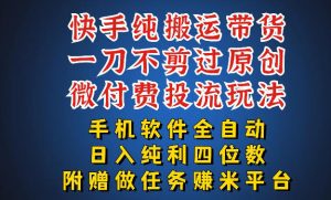 最新黑科技快手搬运带货方法，手机就能操作，轻松带你日入四位数【揭秘】-金鼎聊项目