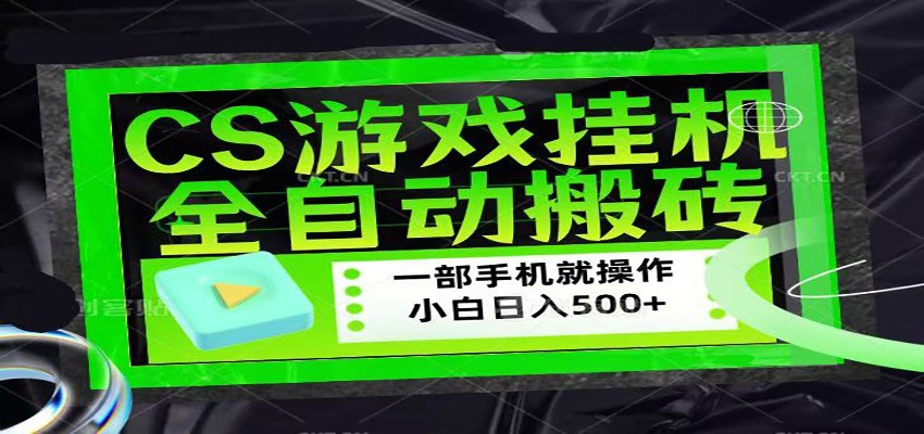 CSGO游戏挂机捡漏搬砖，超稳定的项目，带领1000+小白实现日入500+-金鼎聊项目