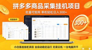拼多多商品信息全自动采集项目，批量可矩阵，单机轻松日入300+，无需云机一台电脑开干【揭秘】-金鼎聊项目