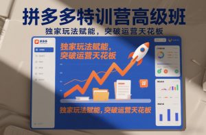 拼多多特训营高阶班,独家玩法赋能,突破运营天花板(更新26年4月10日)-金鼎聊项目