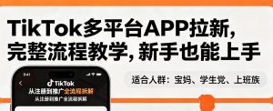 TikTok多平台APP拉新，完整流程教学，新手也能上手，轻松出海搞美金-金鼎聊项目