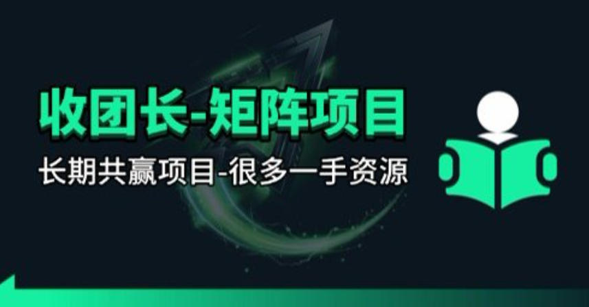 【团长合作】视频矩阵项目_招发手矩阵+剪辑师，共赢项目【揭秘】-金鼎聊项目