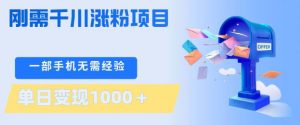 刚需千川涨粉项目,一部手机无需技术,单日变现1k+,当天做当天见收益【揭秘】-金鼎聊项目