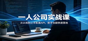 一人公司实战课:从认知到上手配置API,新手也能快速落地-金鼎聊项目