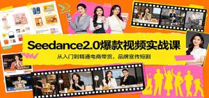 Seedance2.0爆款视频实战课：从入门到精通电商带货，品牌宣传短剧-金鼎聊项目