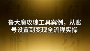 引流创业粉卖软件教学：鲁大魔玫瑰工具案例，从账号设置到变现全流程实操-金鼎聊项目