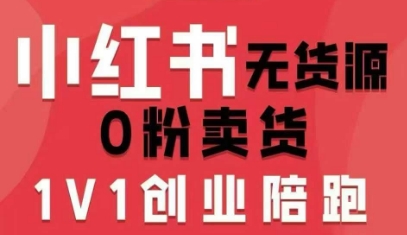 小红书无货源0粉电商课，开店准备、选品策略、笔记撰写、视频剪辑、数据分析、账号打造、资料文档(更新26年4月20日)-金鼎聊项目