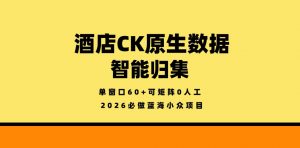 酒店CK原生数据智能归集，单窗口60+可矩阵0人工，2026必做蓝海小众项目【揭秘】-金鼎聊项目