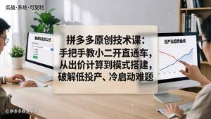 拼多多原创技术课：手把手教小二开直通车，从出价计算到模式搭建，破解低投产、冷启动难题-金鼎聊项目