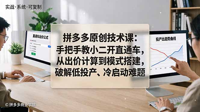 拼多多原创技术课：手把手教小二开直通车，从出价计算到模式搭建，破解低投产、冷启动难题-金鼎聊项目