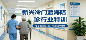 新兴冷门蓝海陪诊行业特训，零基础轻松入行，快速接单赚钱-金鼎聊项目