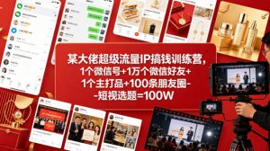 某大佬超级流量IP搞钱训练营，1个微信号+1万个微信好友+1个主打品+100条朋友圈-短视选题=100W-金鼎聊项目
