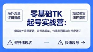 零基础 TK 起号实战营：拆解海外流量逻辑，避开违规坑，快速打通爆款与带货闭环-金鼎聊项目