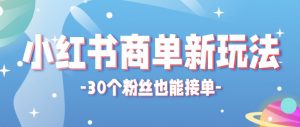 合新手小白操作的小红书商单新玩法，低粉丝也能接单，一个月接三单赚了150+！-金鼎聊项目