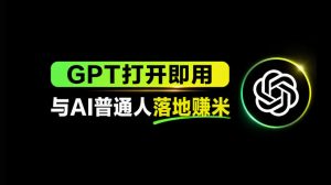 AI工具与变现，AI对于普通人怎么落地与收益-金鼎聊项目