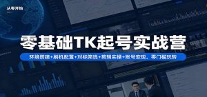 零基础TK起号实战营：环境搭建+ 刷机配置+对标筛选+剪辑实操+账号变现，零门槛玩转-金鼎聊项目