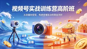视频号实战训练营高阶班，从流量到变现，构建直播驱动的商业闭环(26年4月)-金鼎聊项目