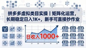 拼多多虚拟类目实操｜矩阵化运营，长期稳定日入 1K+，新手可直接抄作业-金鼎聊项目