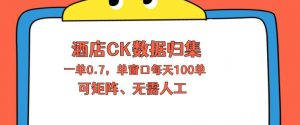 上班也能玩的酒店CK数据归集，一单0.7单窗口每天可做100单，一个人就能矩阵操作【揭秘】-金鼎聊项目
