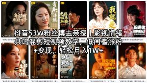抖音53W粉丝博主亲授｜影视情绪共鸣混剪短视频教学，低门槛涨粉+变现，轻松月入1W+-金鼎聊项目