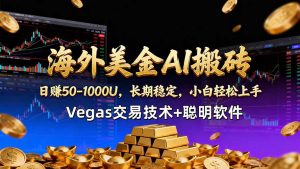海外美金AI搬砖技术Vegas交易技术+聪明软件【训练营第七期】，日赚50-100U-金鼎聊项目