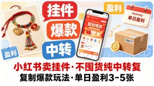 小红书卖挂件，不囤货纯中转复制爆款玩法，单日盈利3-5张-金鼎聊项目