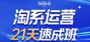 淘系运营21天速成班，0基础轻松搞定淘系运营，不做假把式，快速复制落地(更新26年4月)-金鼎聊项目