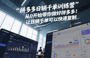 拼多多日销千单训练营，从0开始带你做好拼多多，让日销千单可以快速复制(更新26年4月)-金鼎聊项目