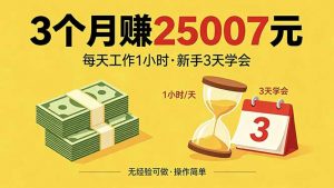 3个月赚钱25007元，每天工作1个小时，新手3天全部学会！-金鼎聊项目
